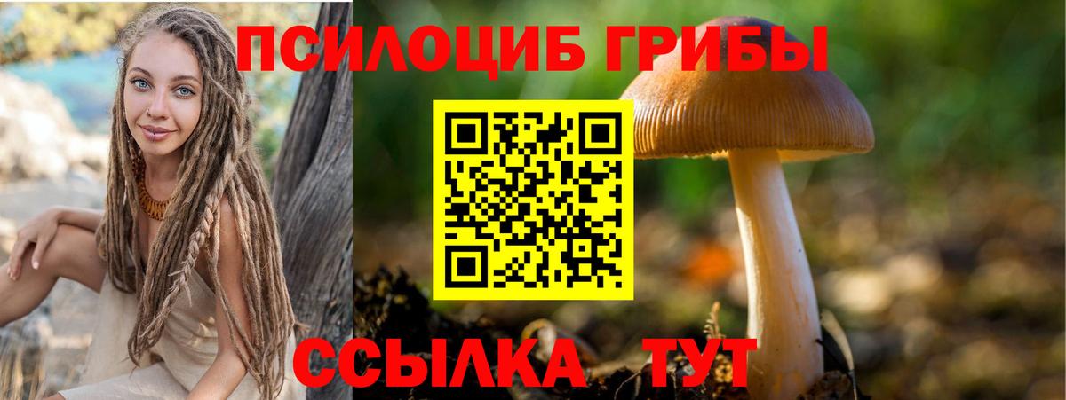 Псилоцибиновые грибы MAGIC MUSHROOMS  Вход с VPN  Лесозаводск 